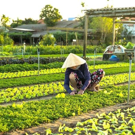 Апартаменти Hoi An Cabbage Garden Екстер'єр фото